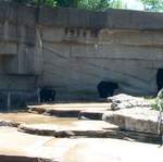 DCP_3452.JPG
