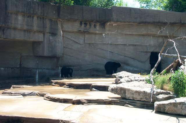 DCP_3452.JPG