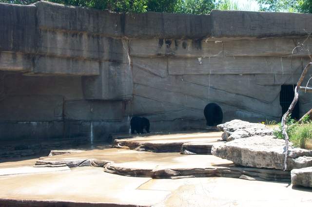 DCP_3453.JPG