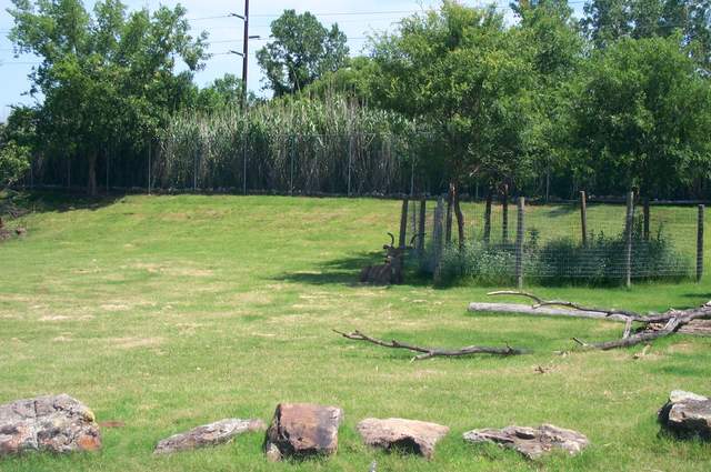 DCP_3454.JPG