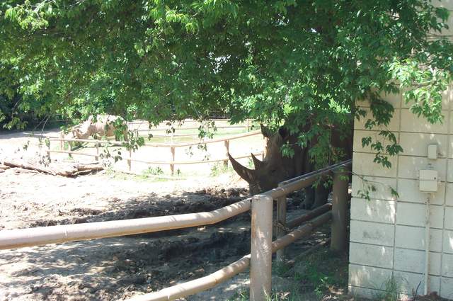DCP_3467.JPG