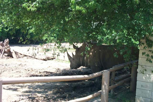 DCP_3468.JPG