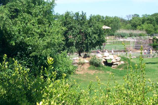 DCP_3476.JPG