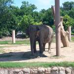 DCP_3483.JPG