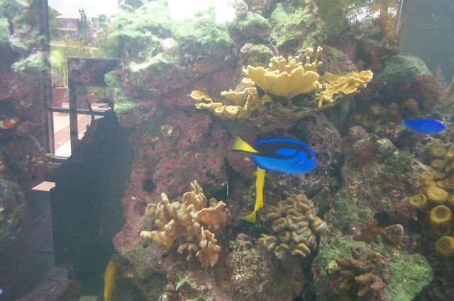 DCP_3485.JPG