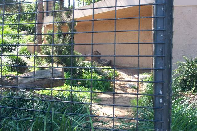 DCP_3488.JPG