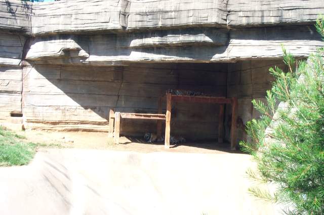 DCP_3489.JPG
