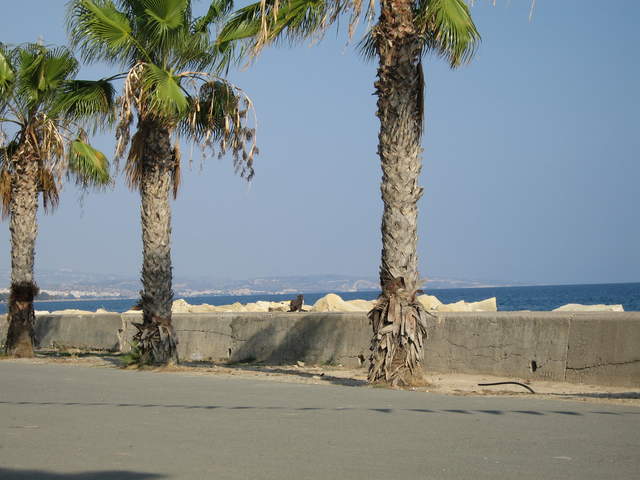 cyprus 007.jpg