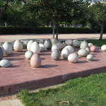 cyprus 010.jpg