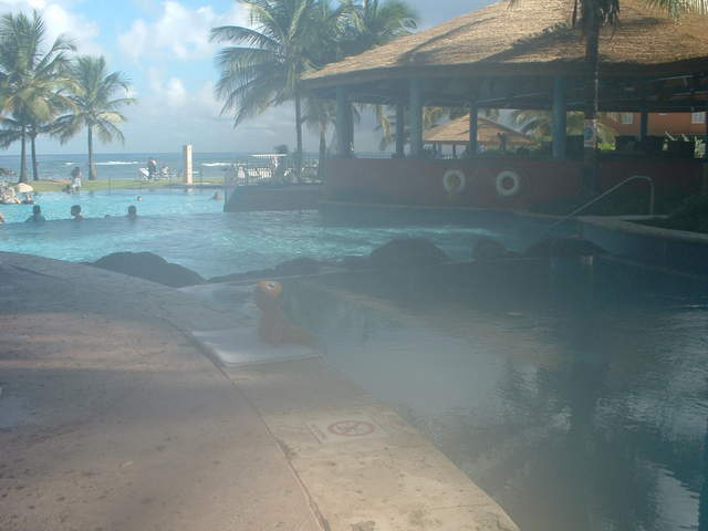 Zippy also likes to lounge poolside sometimes