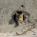 cyprus 016.jpg