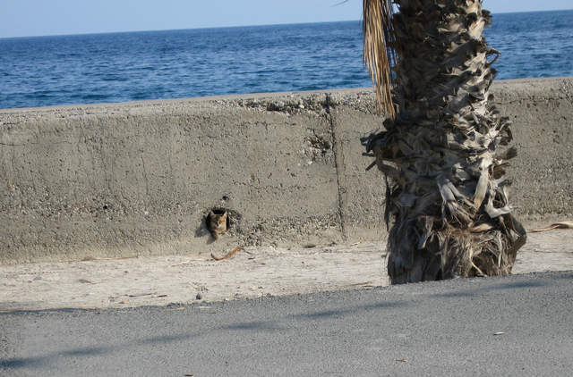 cyprus 016.jpg
