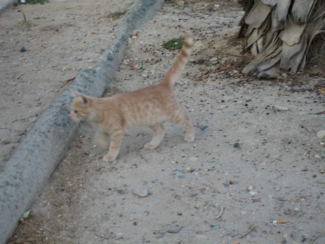 cyprus 028.jpg