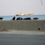 cyprus 029.jpg