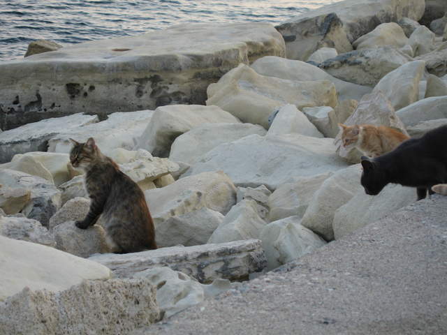 cyprus 030.jpg