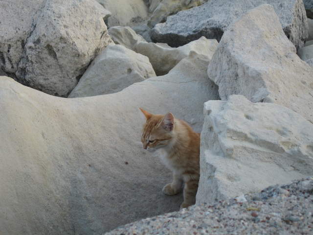 cyprus 031.jpg