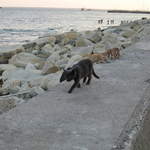 cyprus 033.jpg