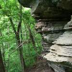 DCP_3295.JPG