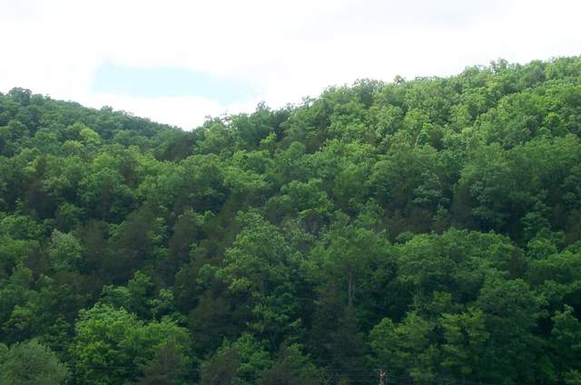 DCP_3309.JPG