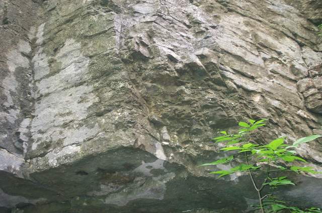 DCP_3312.JPG