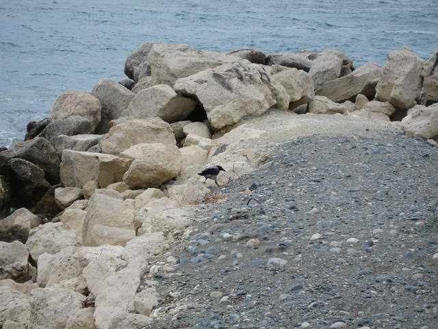 cyprus 196.jpg