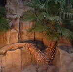 DSCF0005.jpg