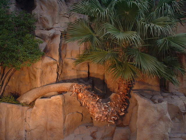 DSCF0005.jpg