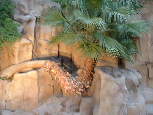 DSCF0006.jpg