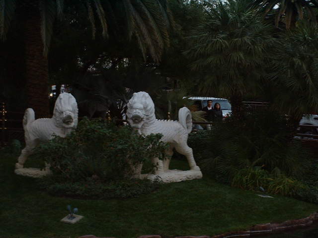 DSCF0008.jpg