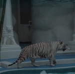 DSCF0009.jpg