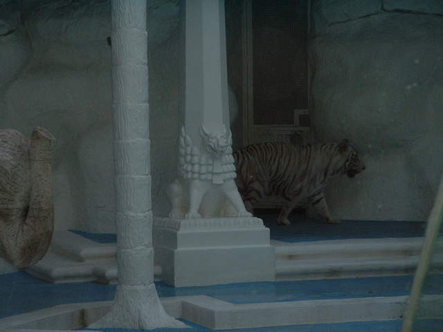 DSCF0010.jpg