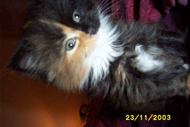 Picture_0282.jpg