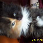 Picture_0283.jpg