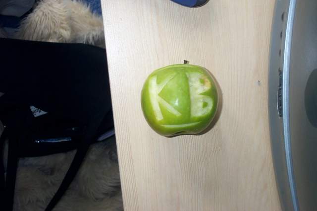 P1002713.jpg