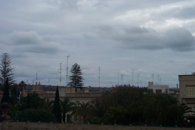 P1002628.jpg