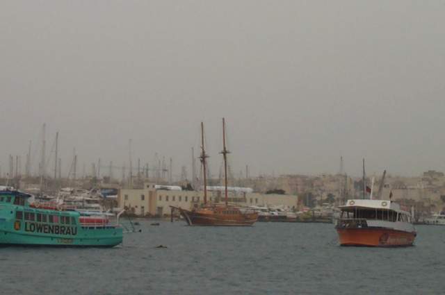 P1002633.jpg