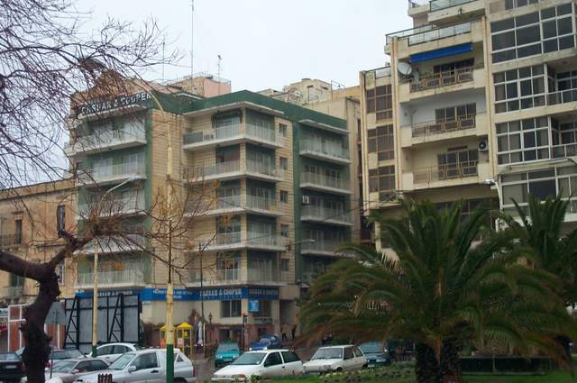 P1002639.jpg