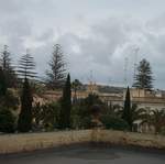 P1002645.jpg