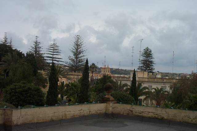 P1002645.jpg