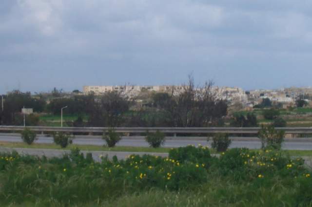 P1002649.jpg