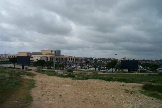 P1002651.jpg