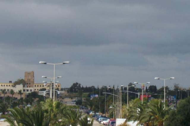 P1002653.jpg