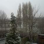 January Snowfall