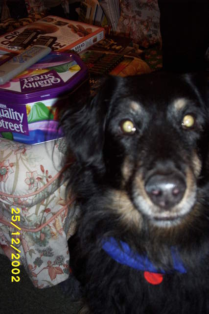 Picture_1126.jpg
