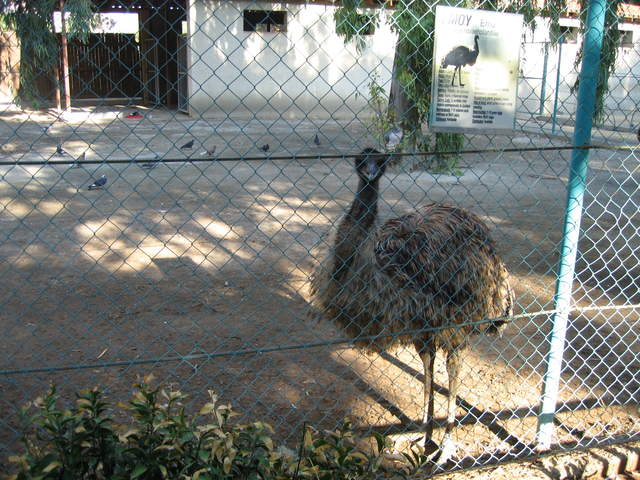 cyprus 224.jpg