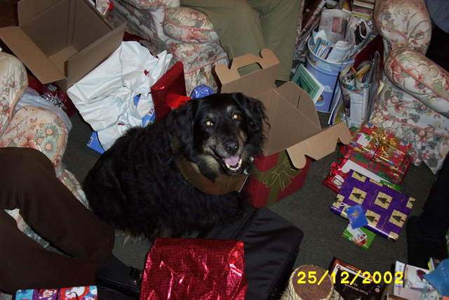 Picture_1136.jpg