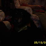 Picture_1143.jpg