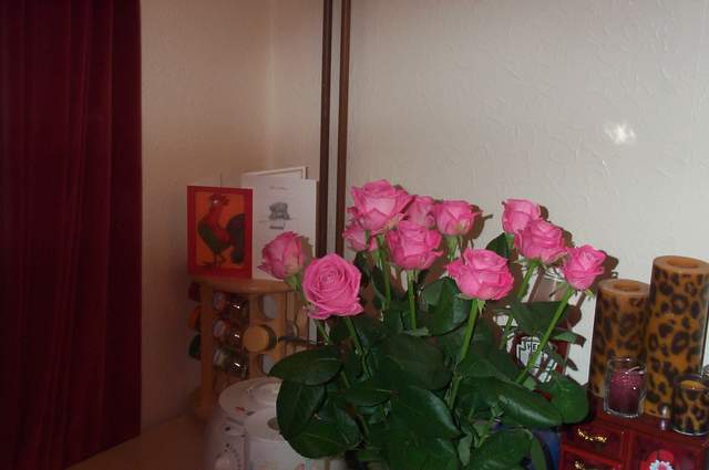 P1002450.jpg