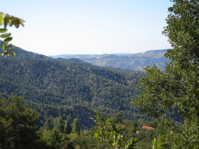 cyprus 055.jpg