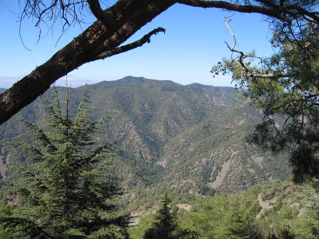 cyprus 074.jpg